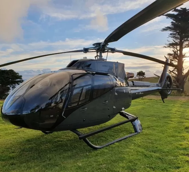 Helicopter Aerial Tour Metro Manila | Discover and Beyond