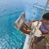 Discover and Beyond Luxury Yacht Catamaran Day Tour Puerto Galera Philippines
