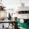 Discover and Beyond Manila Bay Cruise on 70ft Party Yacht Philippines